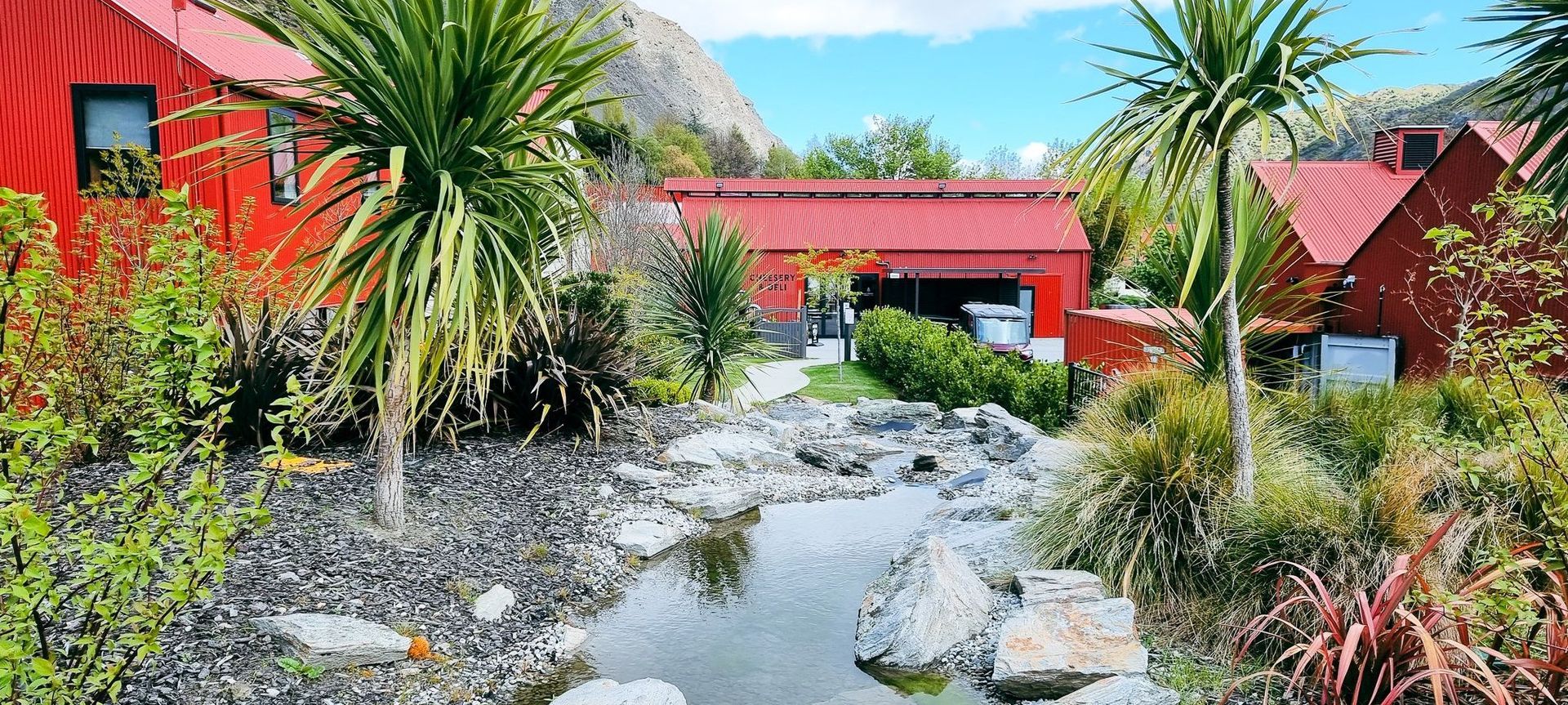 Cordyline australis featuring in Gibbston Valley, Queenstown