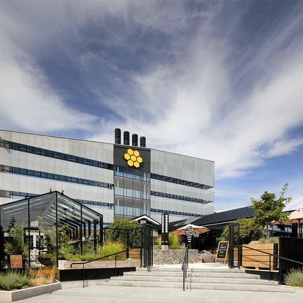 Natural Habitats: reinventing the urban jungle