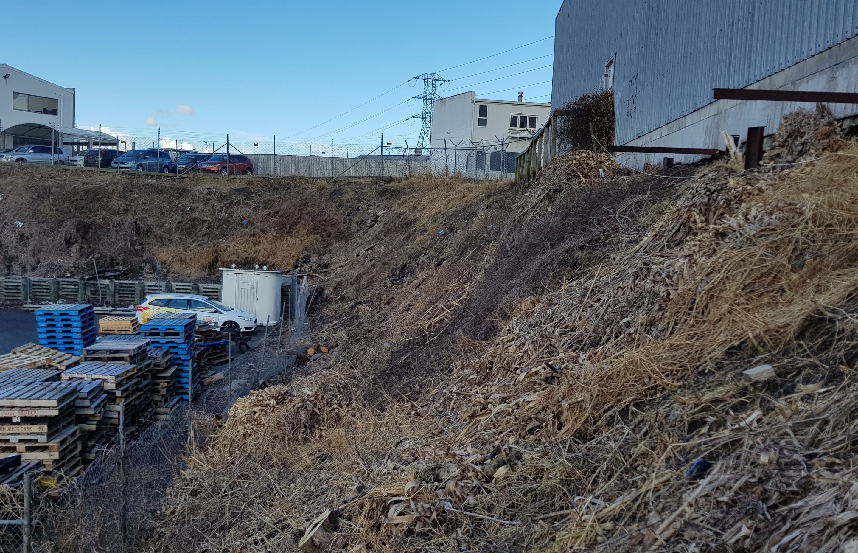 From urban wasteland to a floral treasure