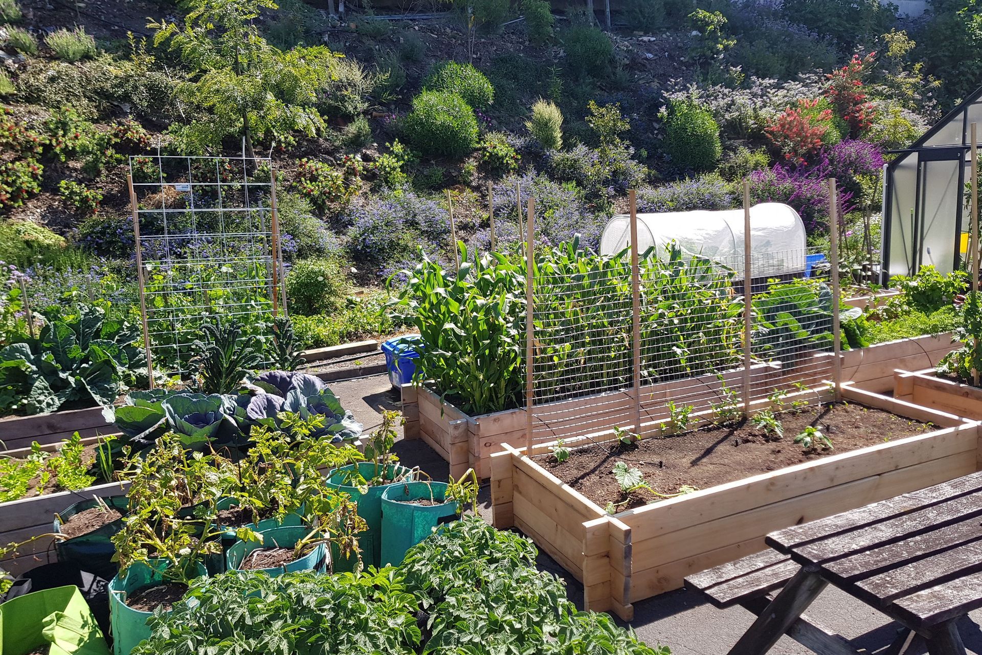 From urban wasteland to a floral treasure