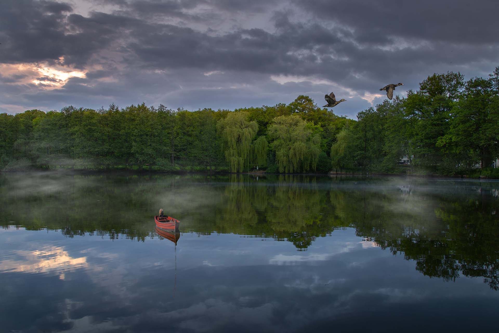  2021 PEFC Photo Contest – Magical forests impress PEFC Spain’s jury
