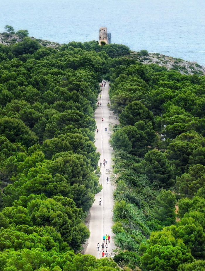 2021 PEFC Photo Contest – Magical forests impress PEFC Spain’s jury