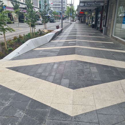 A new main street that’s 100% Dunedin