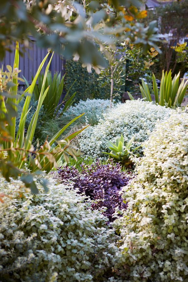 Discover our 2022 multi award-winning Clareville project