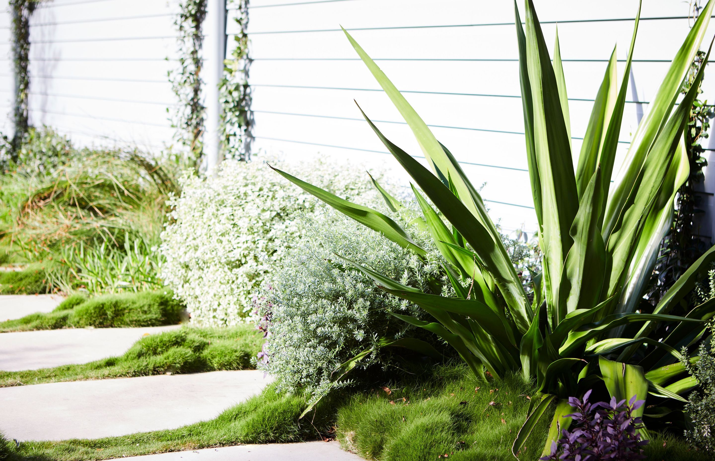 Discover our 2022 multi award-winning Clareville project