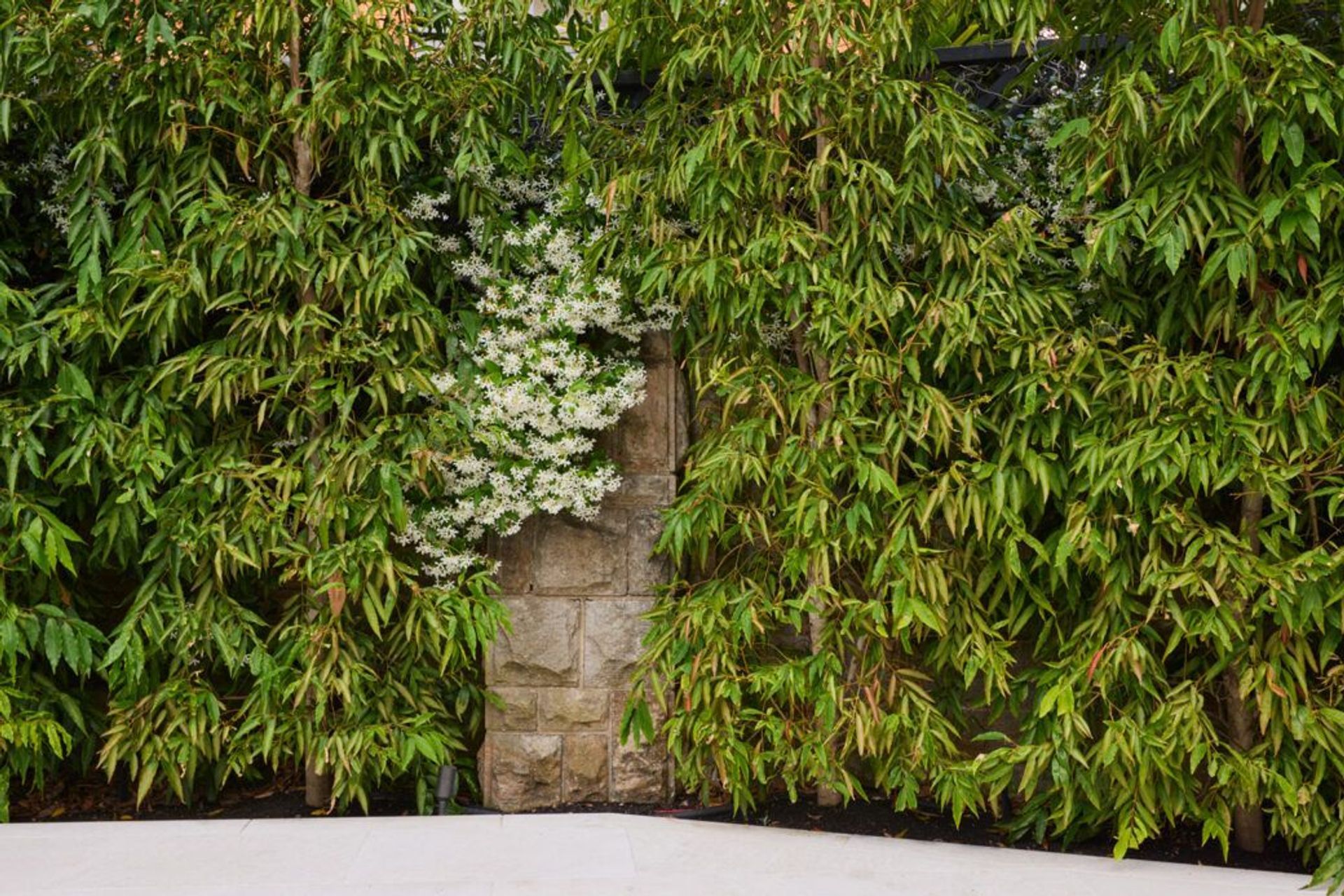 Woollahra House: A Case Study