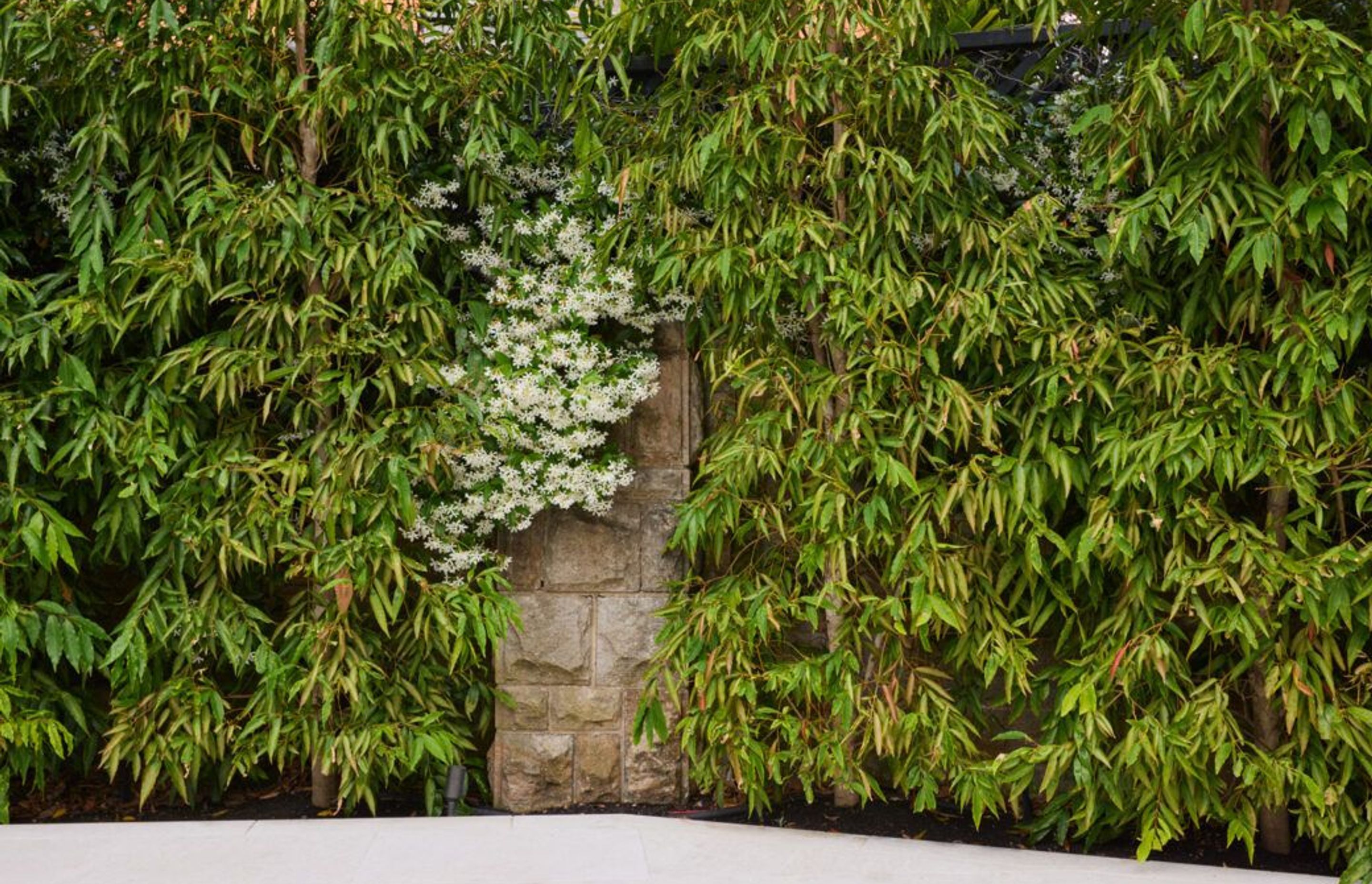 Woollahra House: A Case Study