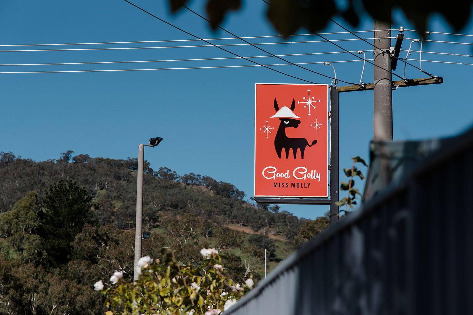 Good Golly Miss Molly's new 1950's inspired business identity developed by Studio Scerri