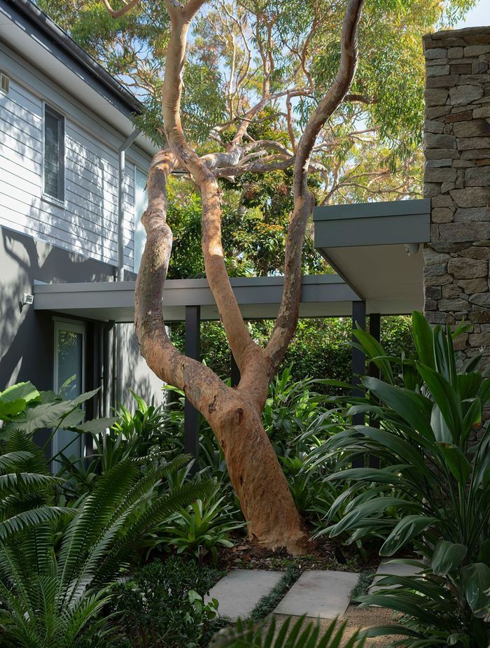 Tackling Climate Change in your own Backyard