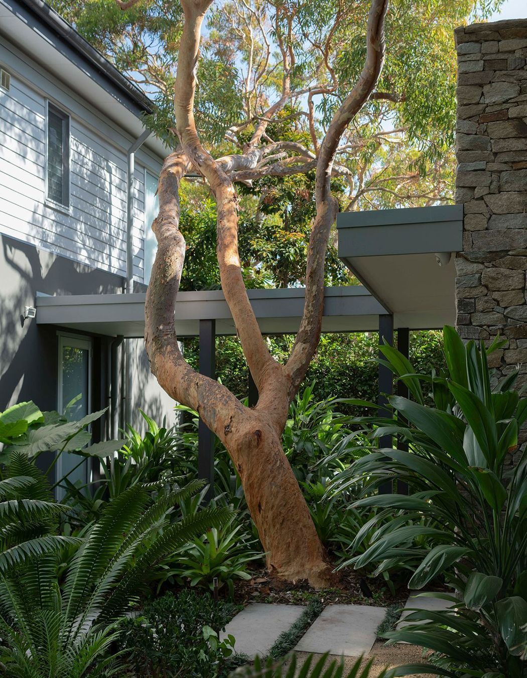 Tackling Climate Change in your own Backyard