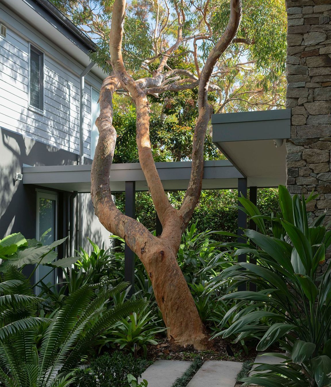 Tackling Climate Change in your own Backyard