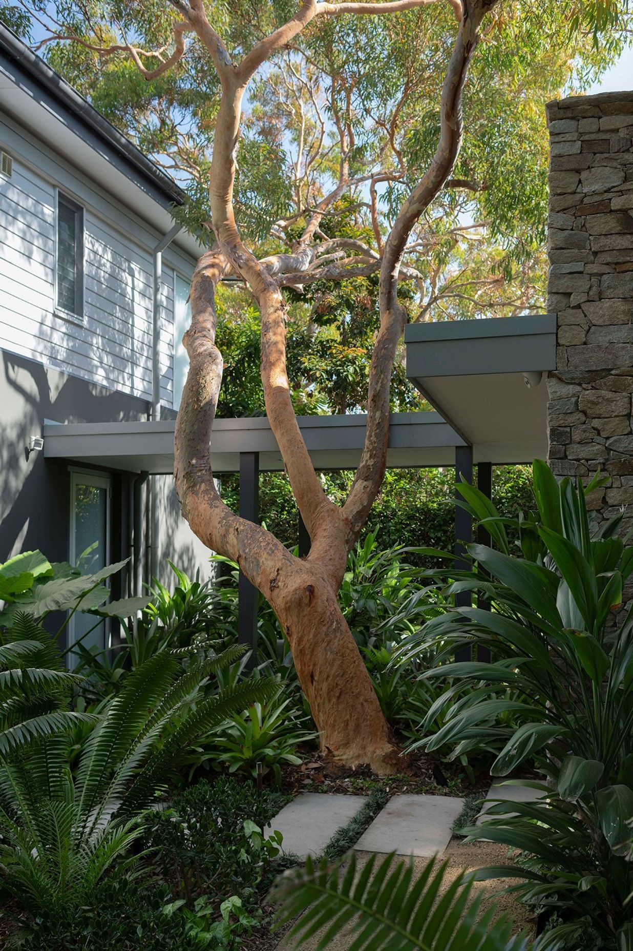 Tackling Climate Change in your own Backyard