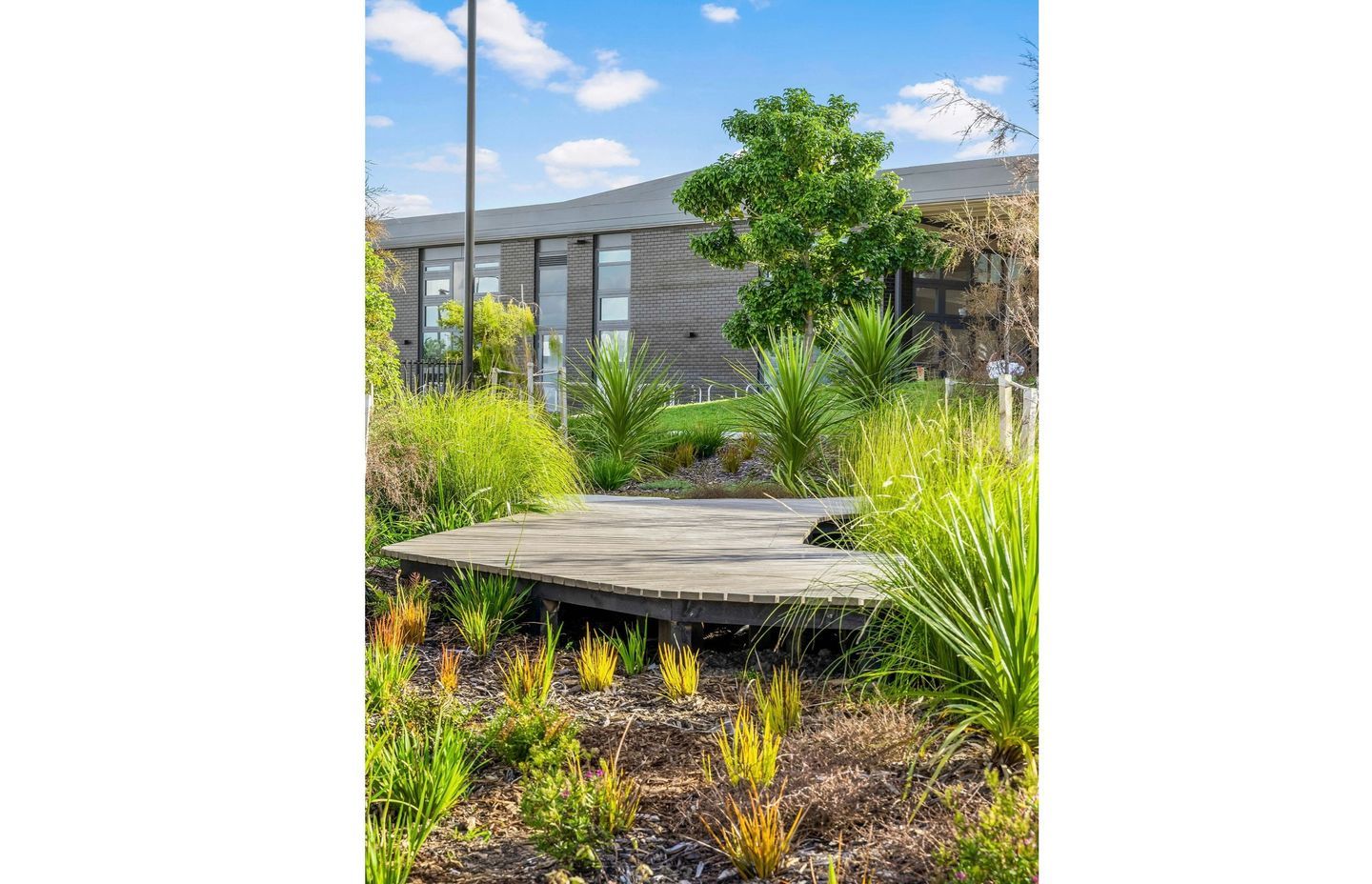 The wetland area is rich with native plants, and features a garapa boardwalk built by the Murphy Landscapes team.