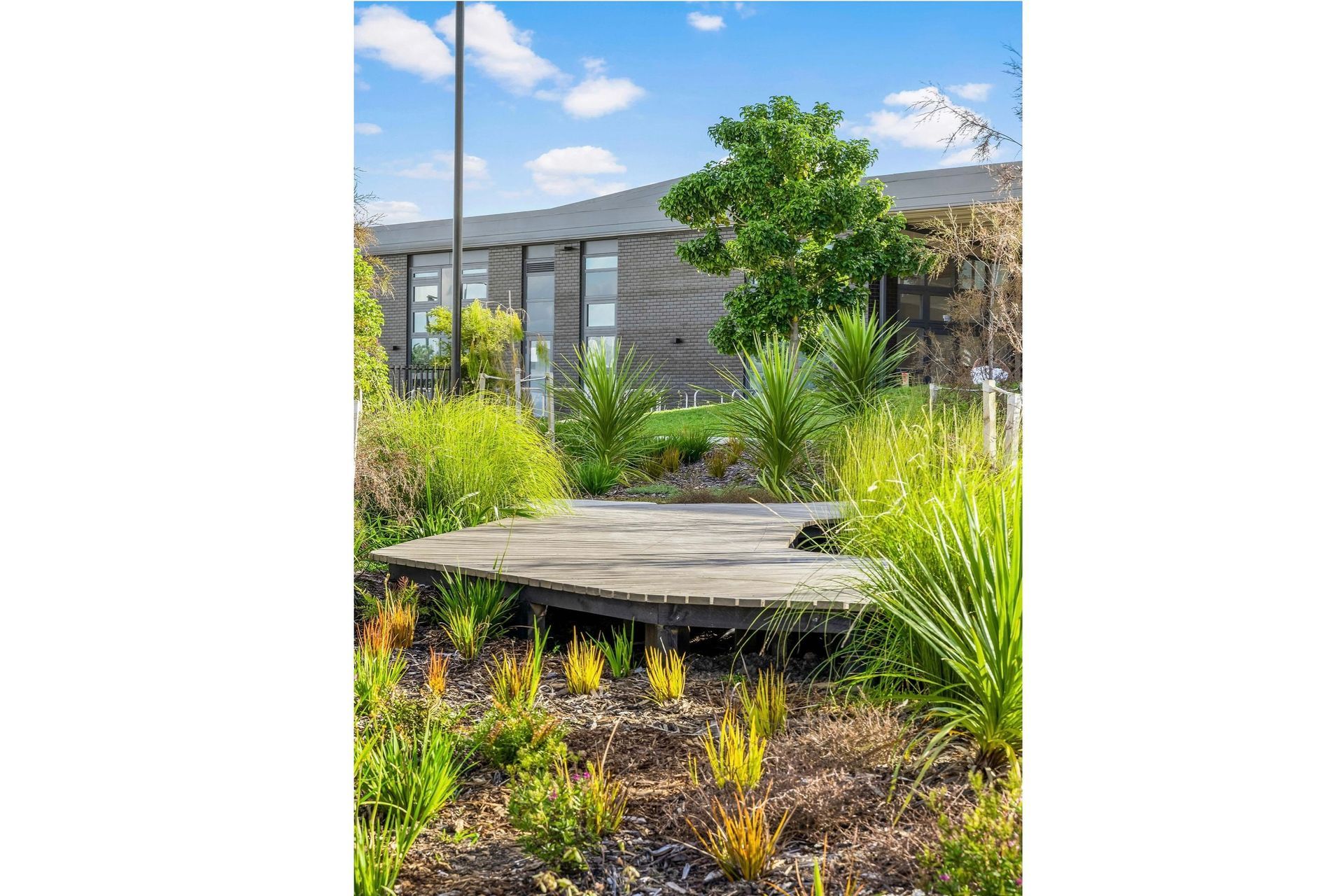 The wetland area is rich with native plants, and features a garapa boardwalk built by the Murphy Landscapes team.