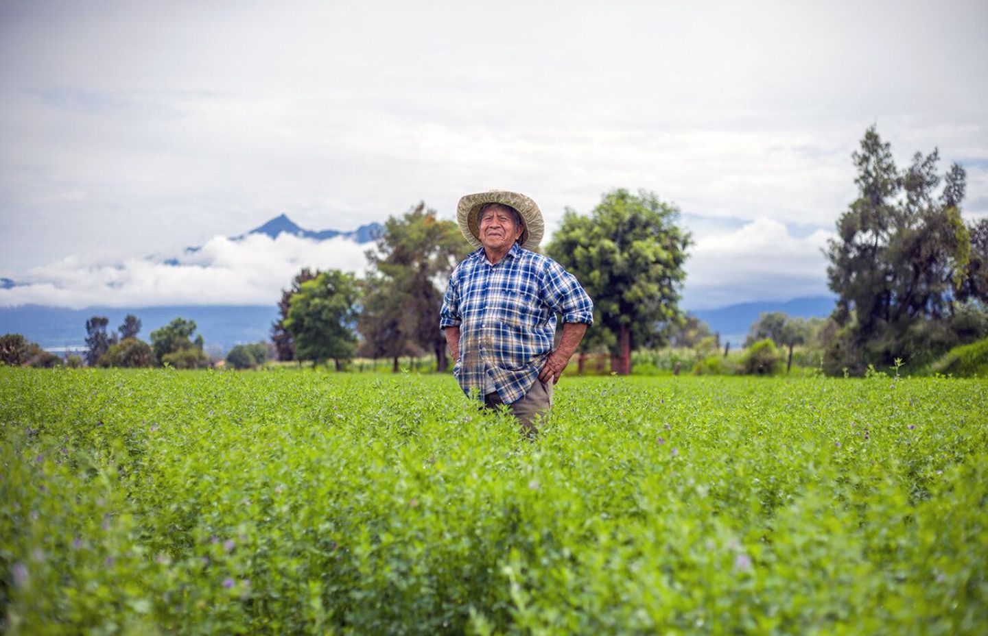Renewable biogas energy and fertilizer production in Kenya