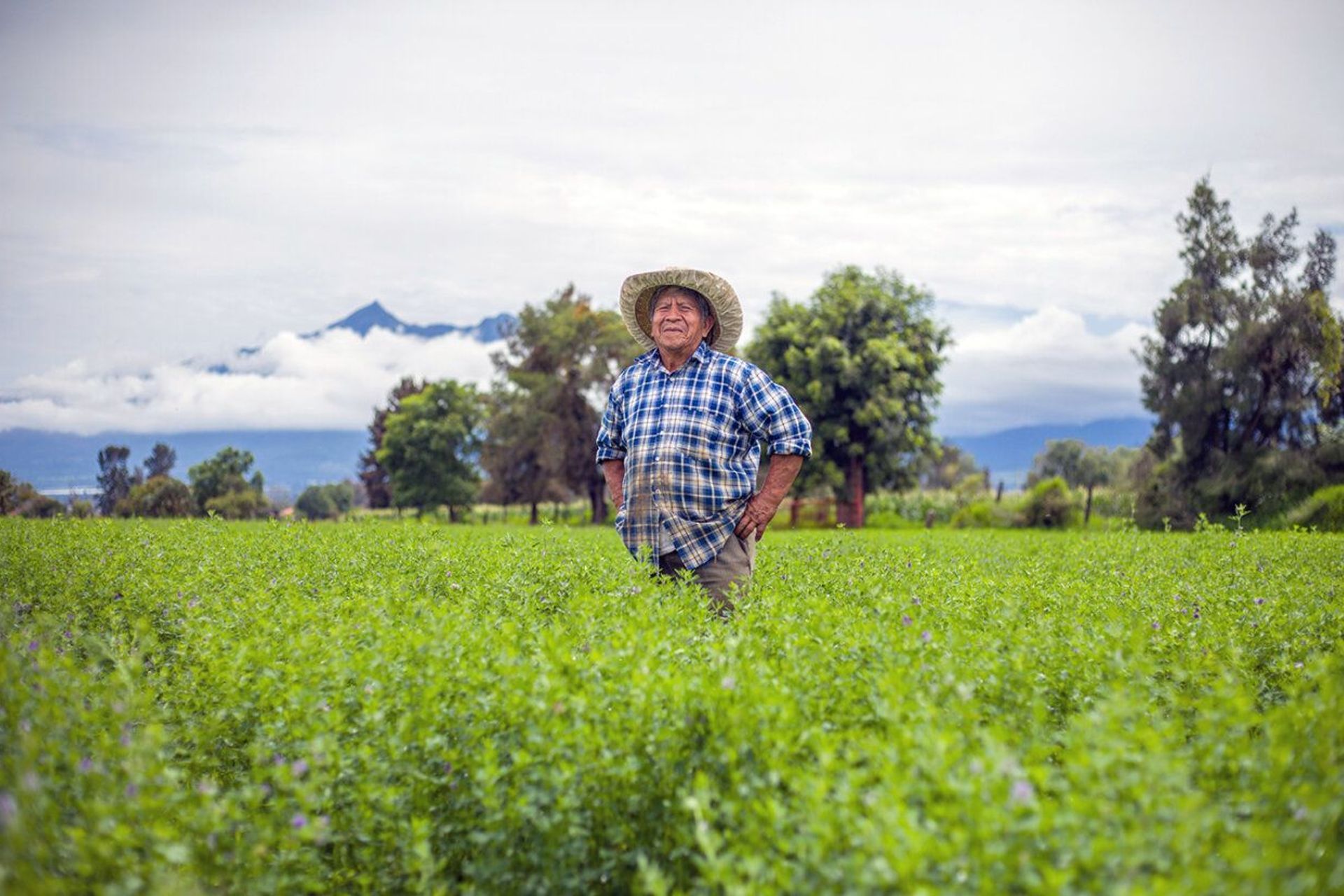 Renewable biogas energy and fertilizer production in Kenya