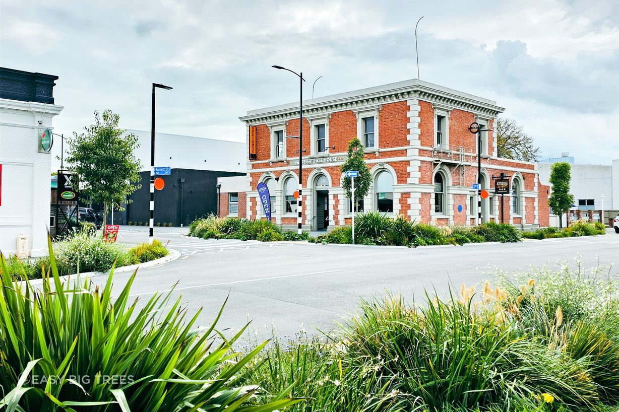 Trees and shrubs in Ashburton CBD, supplied by Easy Big Trees.