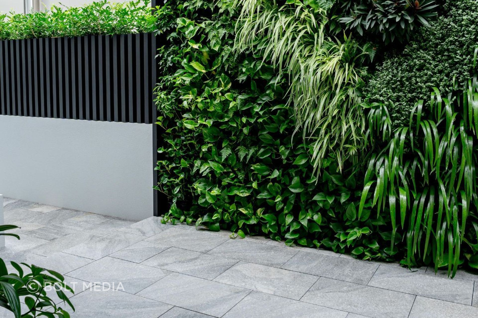 Ocean Grey Granite