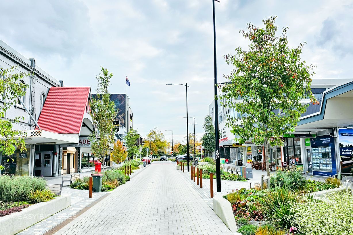 PYRUS calleryana Aristocrat - Ornamental Pear in Ashburton CBD, supplied by Easy Big Trees.