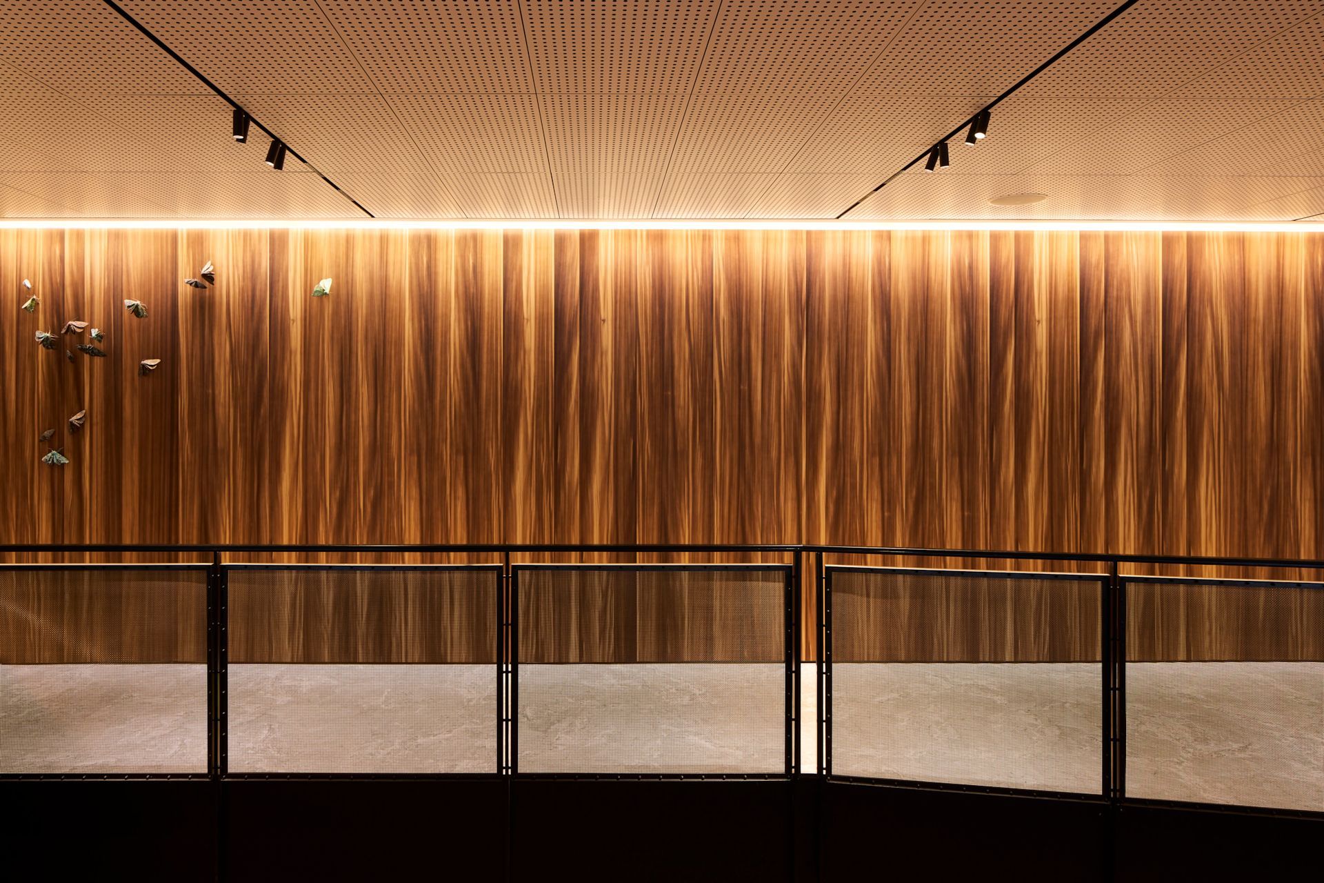 Chapman Tripp by Studio Pacific Architecture | Custom Stained European Larch Timber Panelling
