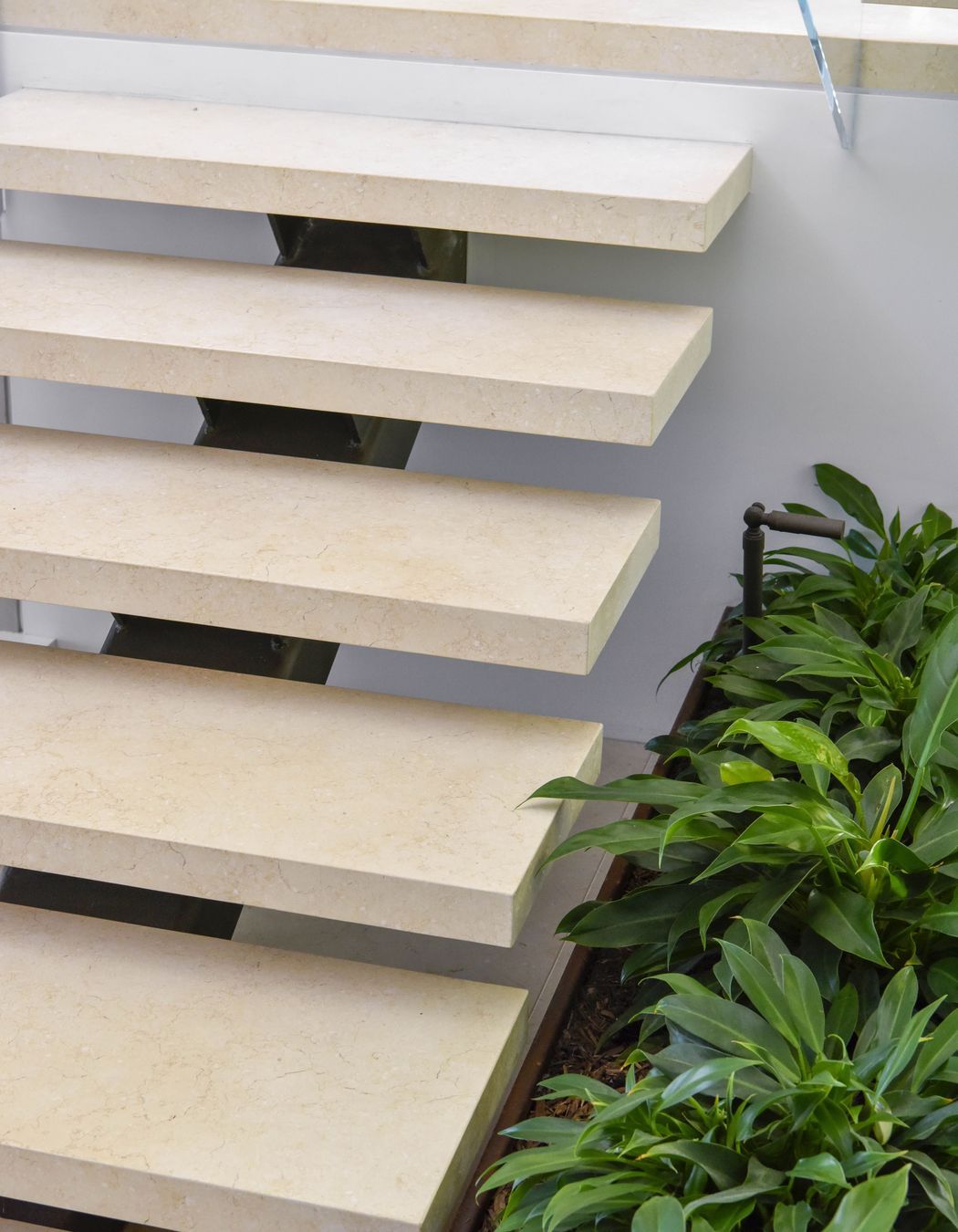 Crema Vialle Honed | TDDP Architects | IBW Constructions | Blainey North