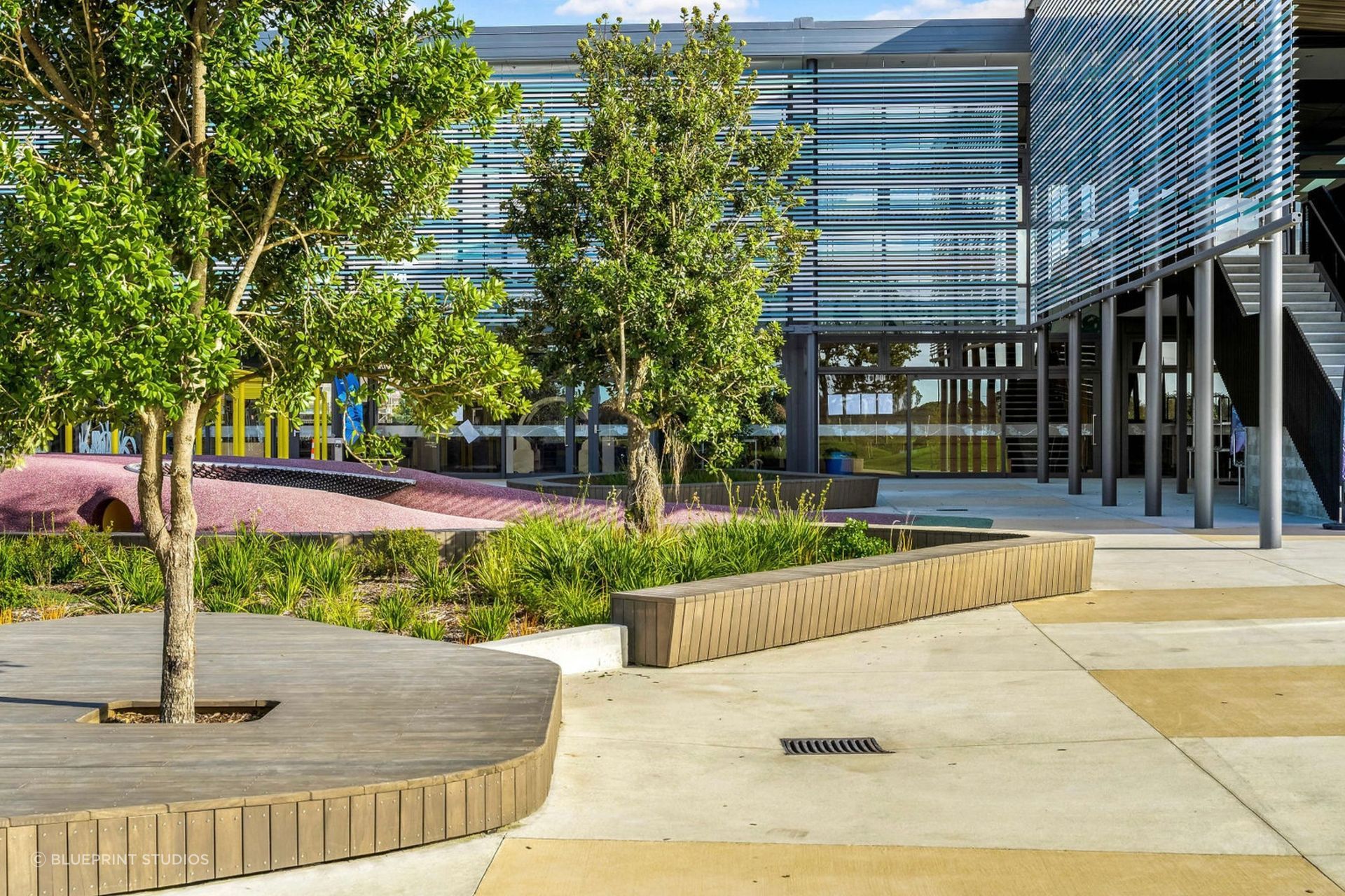 The timber features, built by the Murphy Landscapes team, mirror the organic shapes used throughout the landscape design.