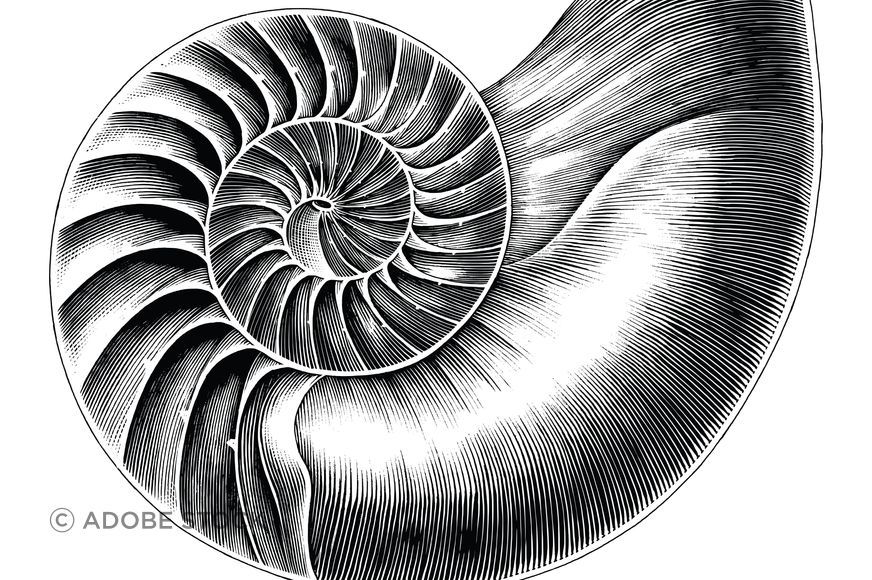 AdobeStock304632581.jpeg