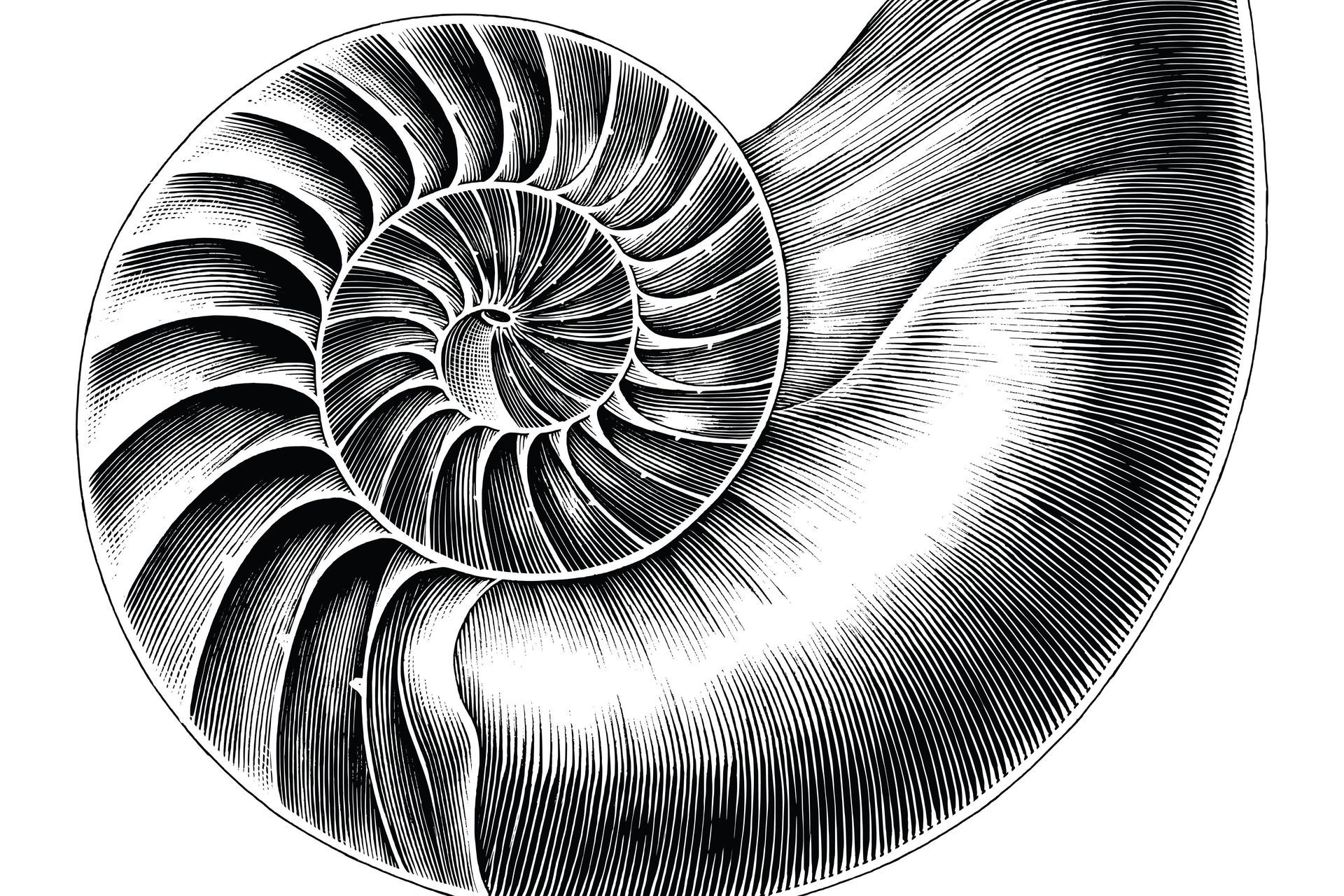 AdobeStock304632581.jpeg