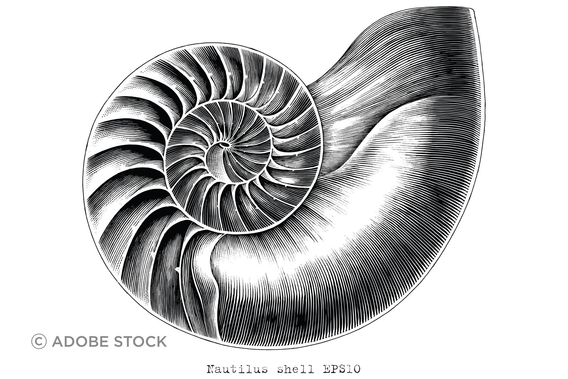 AdobeStock304632581.jpeg