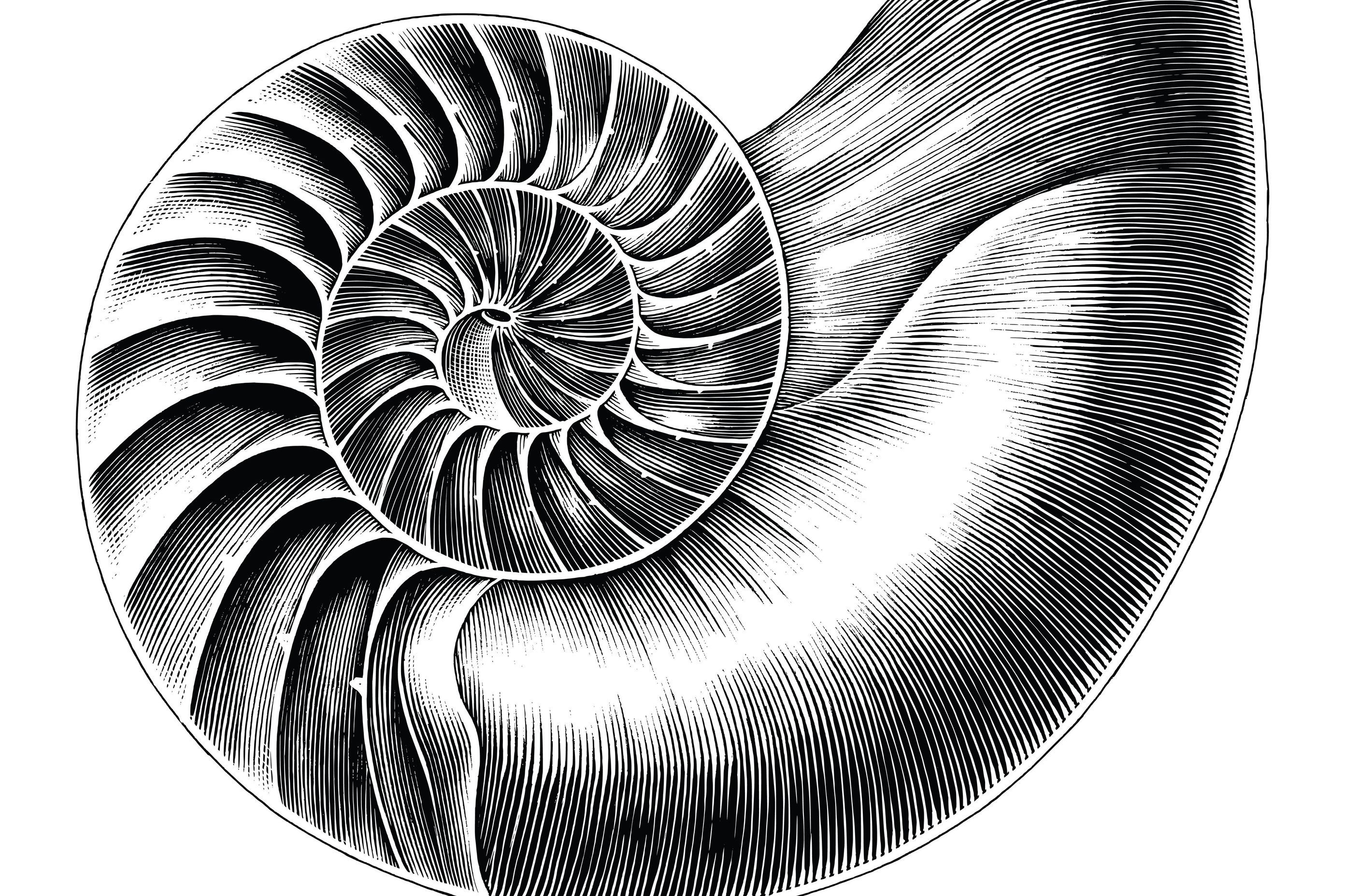 AdobeStock304632581.jpeg