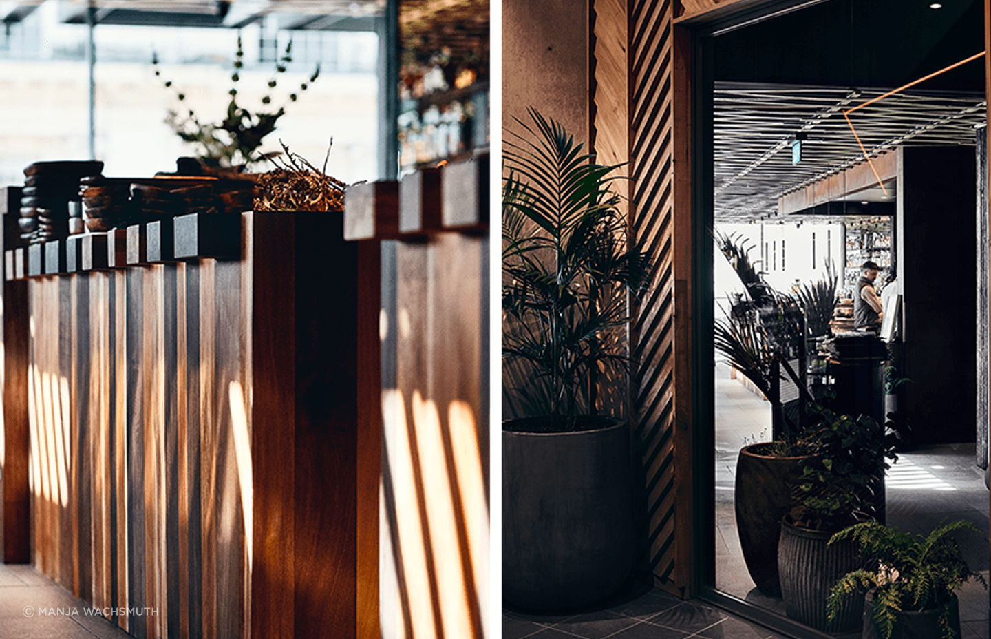 A look inside: Ahi