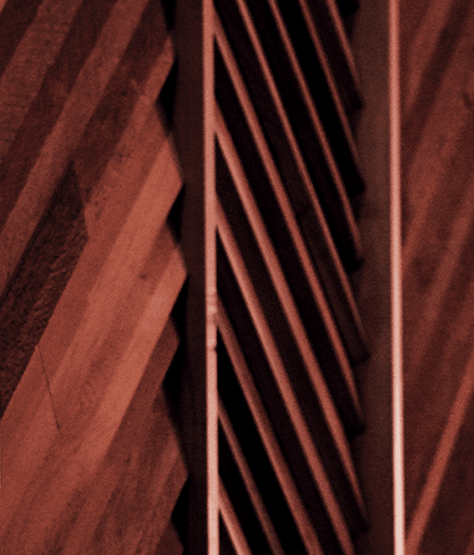 A look inside: Ahi