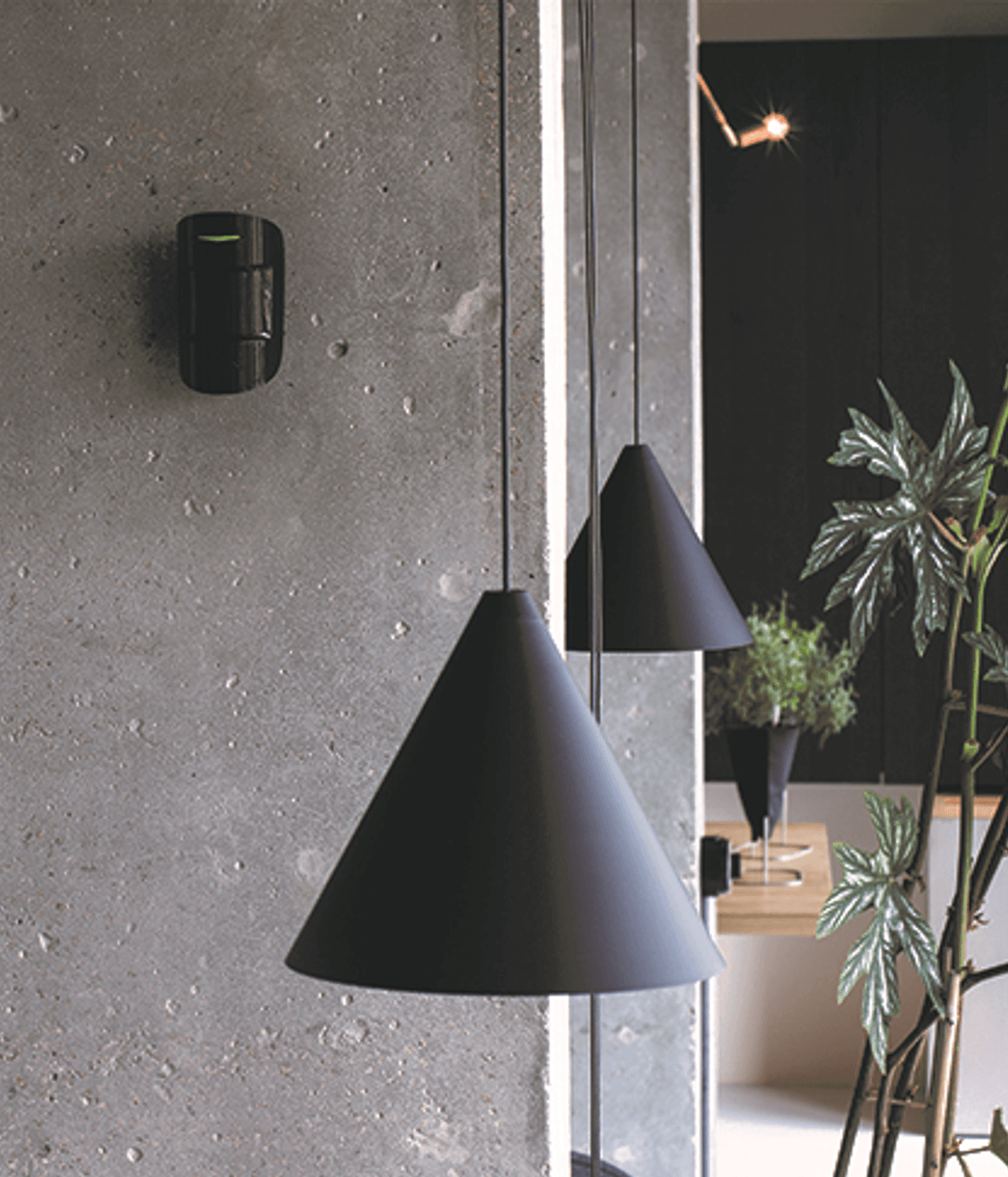 Ajax wireless security system