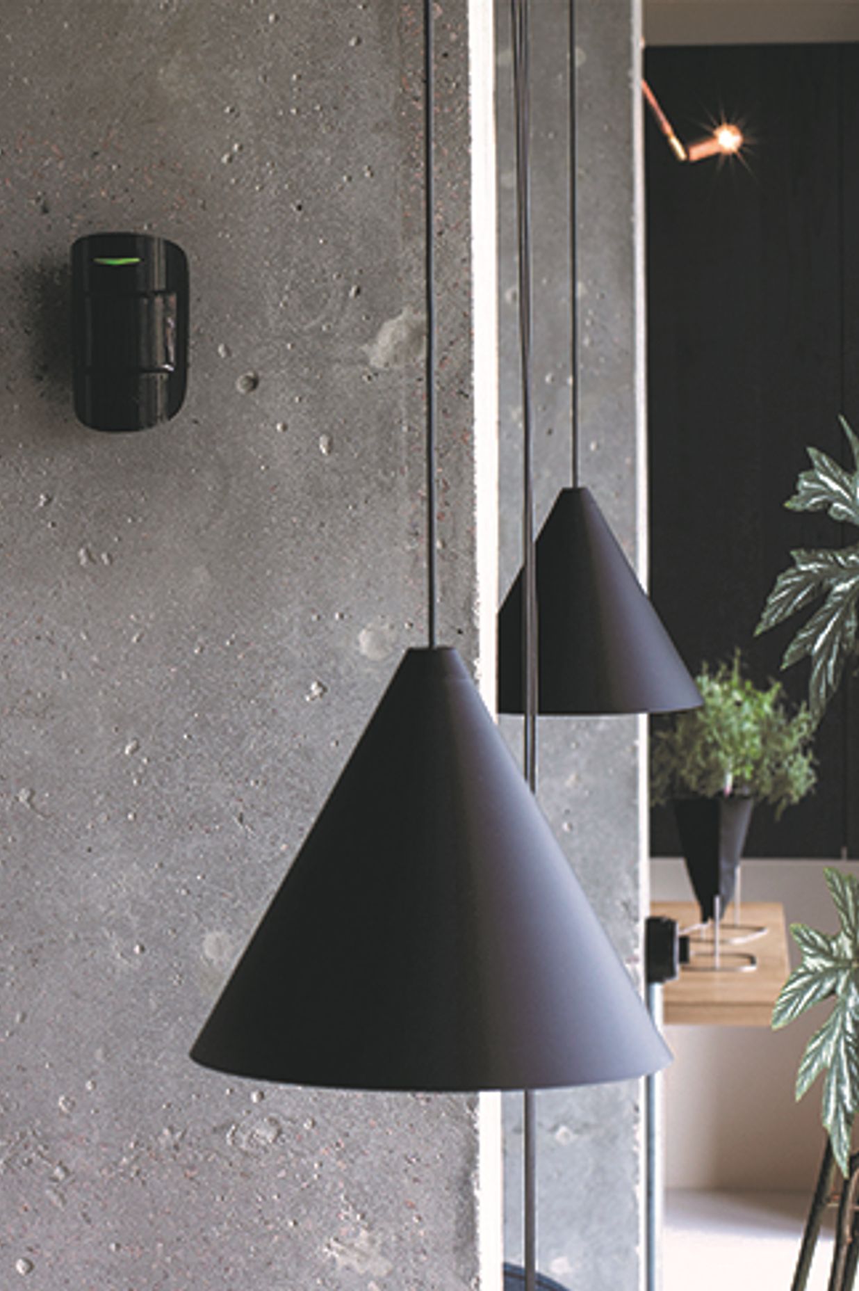 Ajax wireless security system