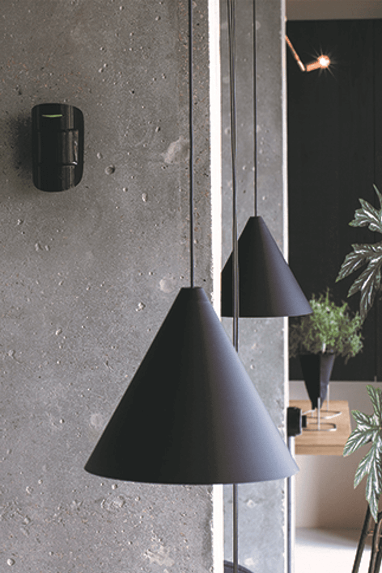 Ajax wireless security system