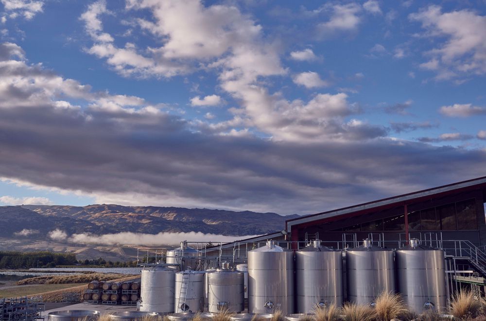 Amisfield Winery