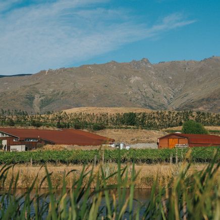 Amisfield Winery