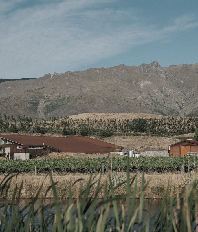 Amisfield Winery