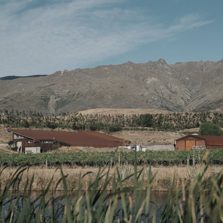 Amisfield Winery