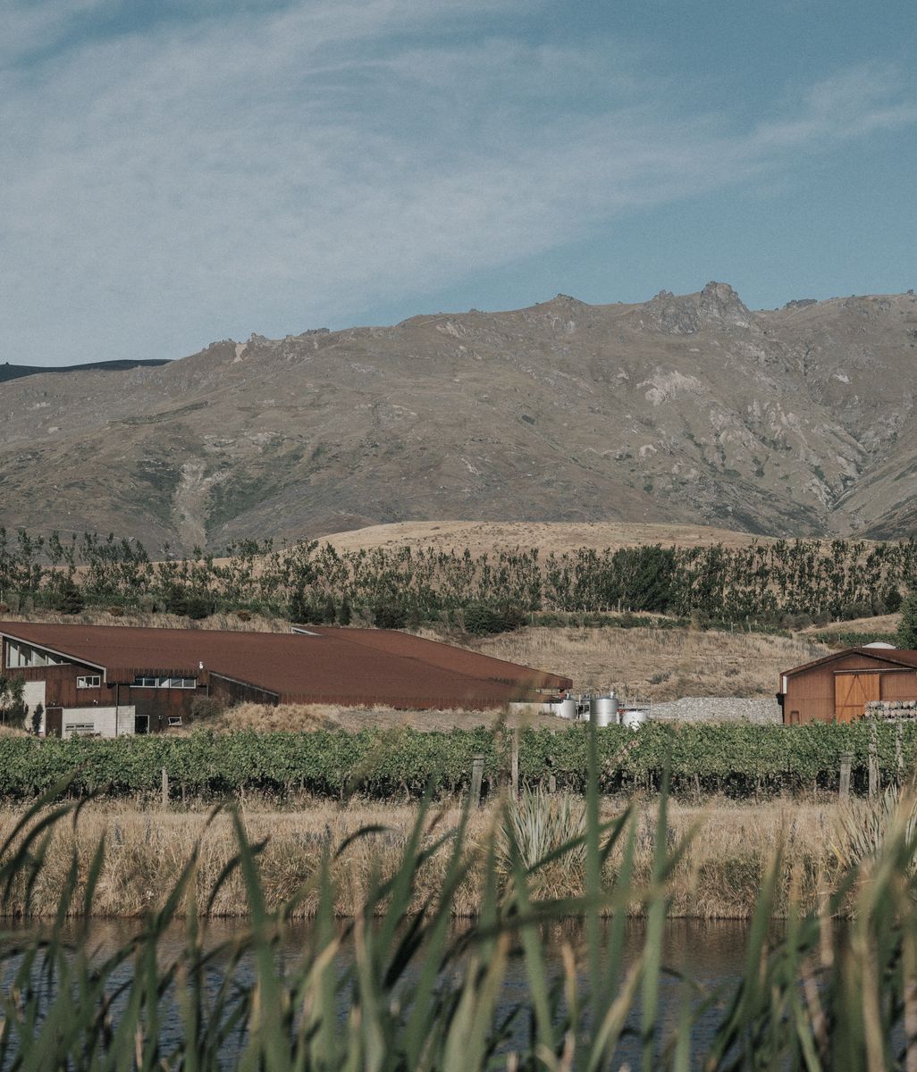 Amisfield Winery