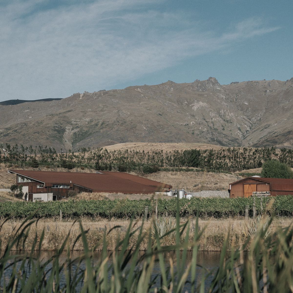 Amisfield Winery