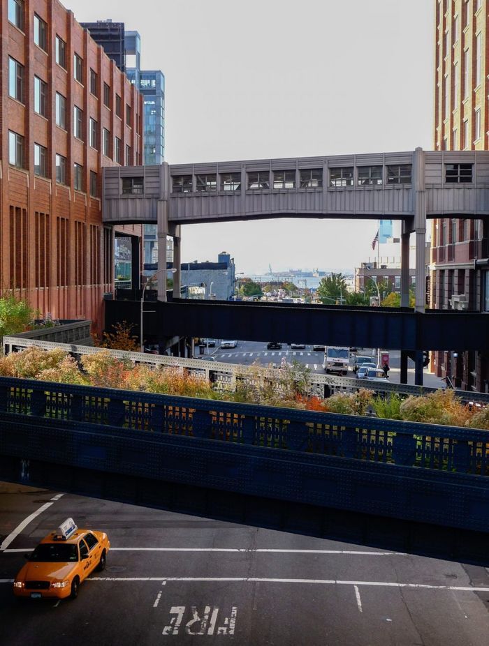 Perennials & Inspiration