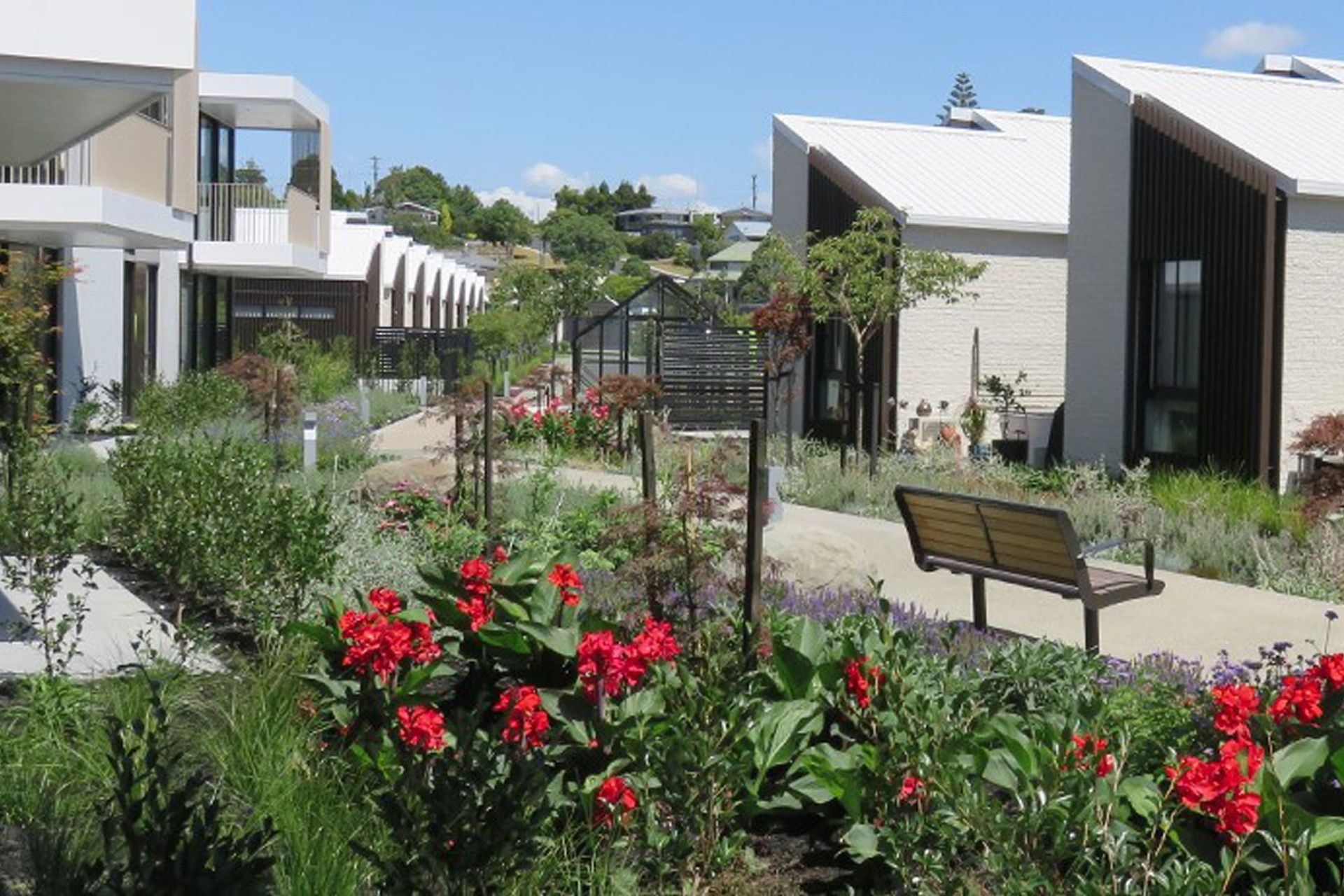 Plant selection: Social spaces for senior living communities