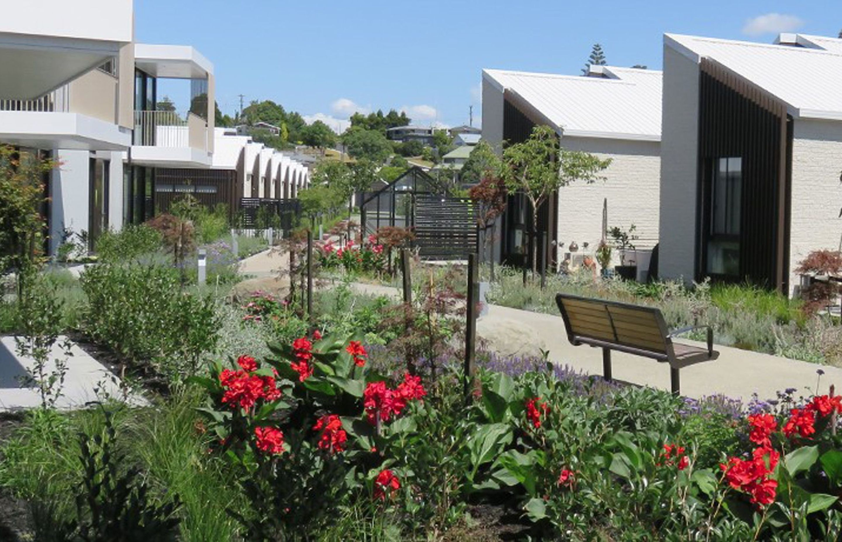 Plant selection: Social spaces for senior living communities