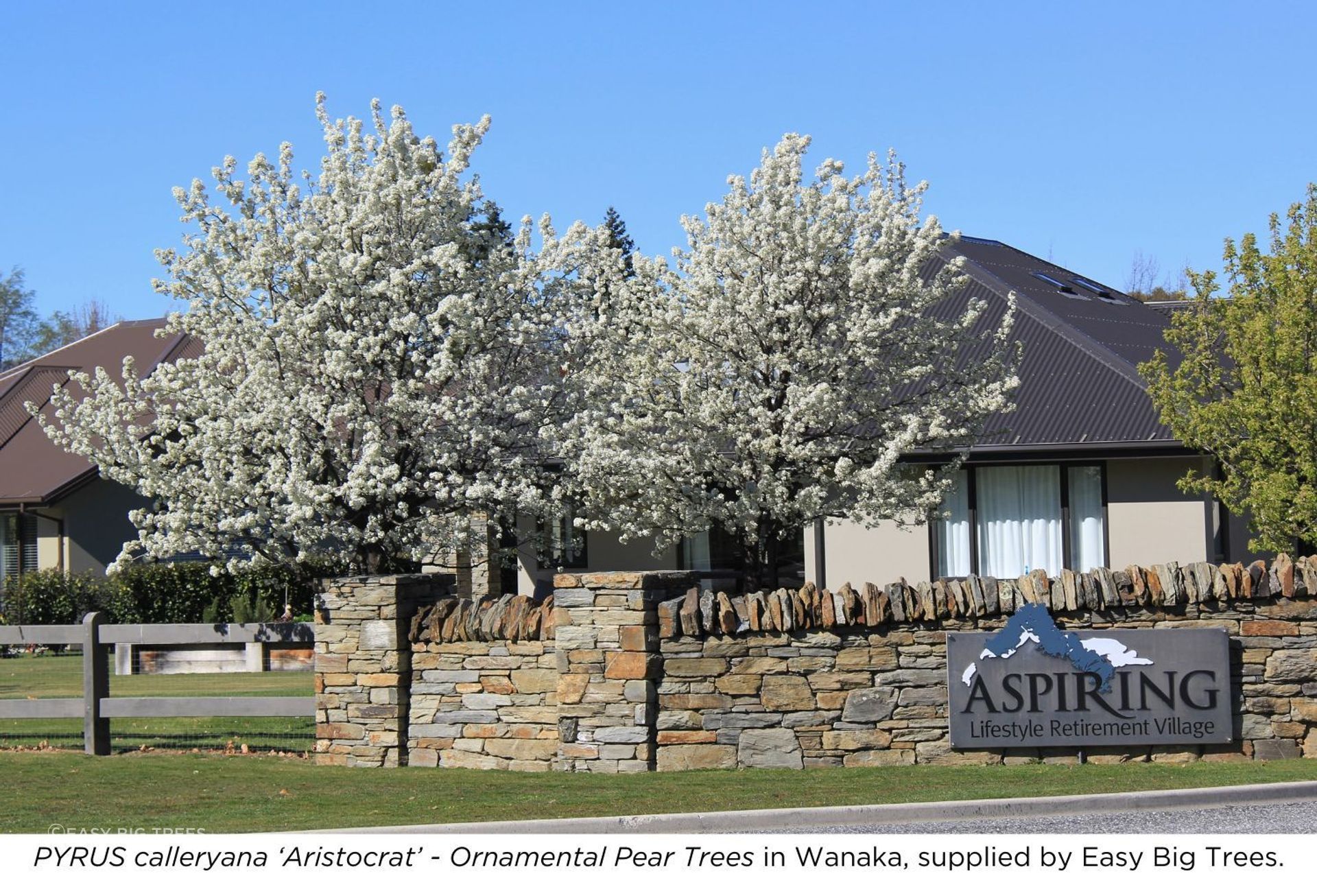 Aristocrat-Wanaka-1.jpg