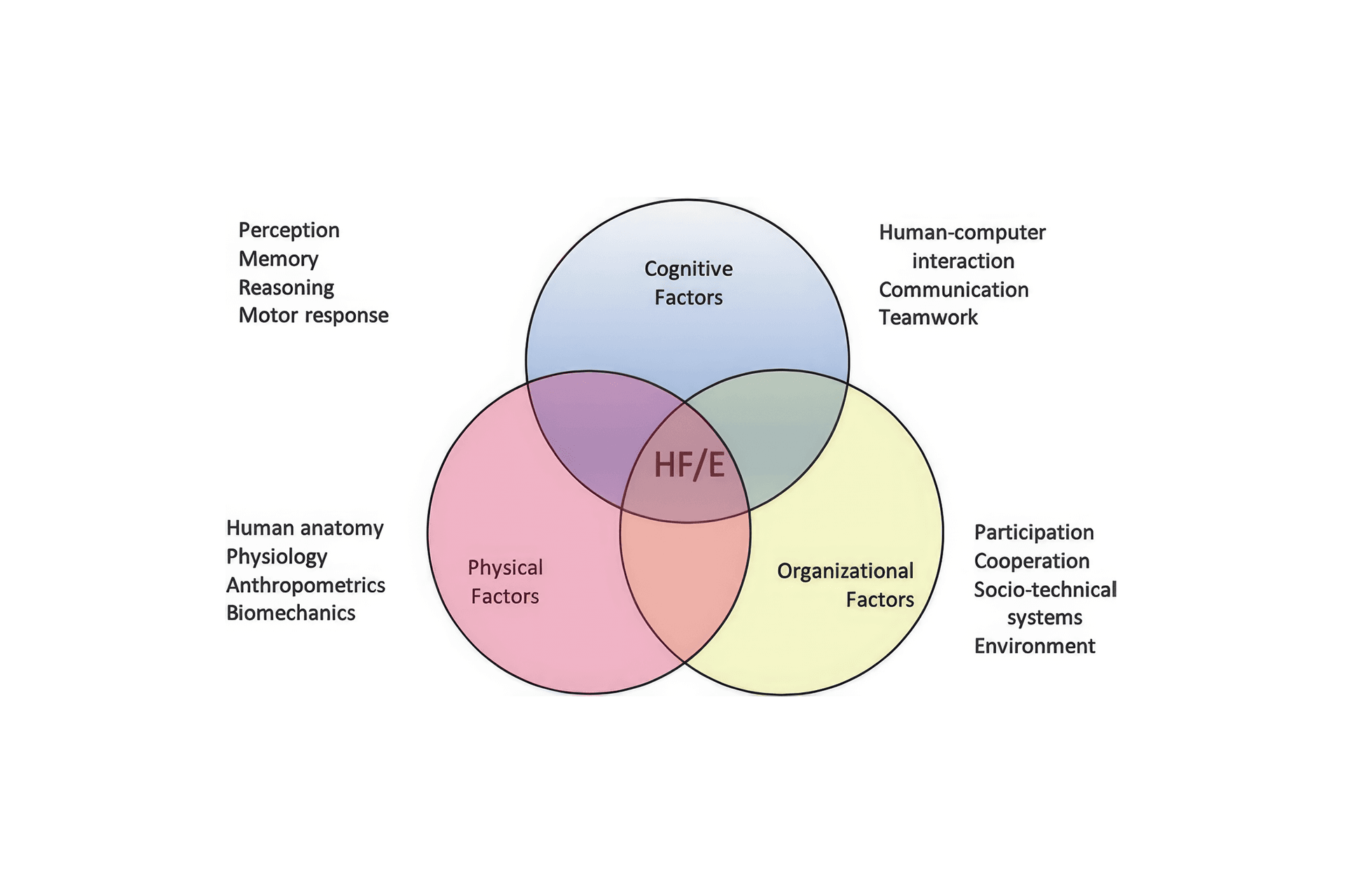 Ergonomics and human factors (HFE), the science of interactions. Source: International Ergonomics Association
