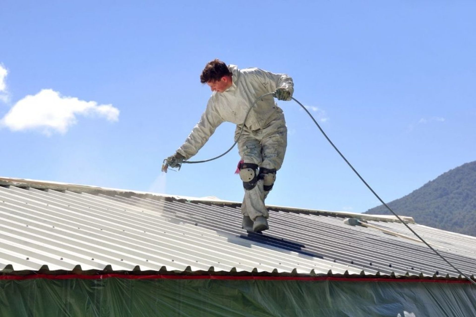 Residential Roof Preparation and Painting