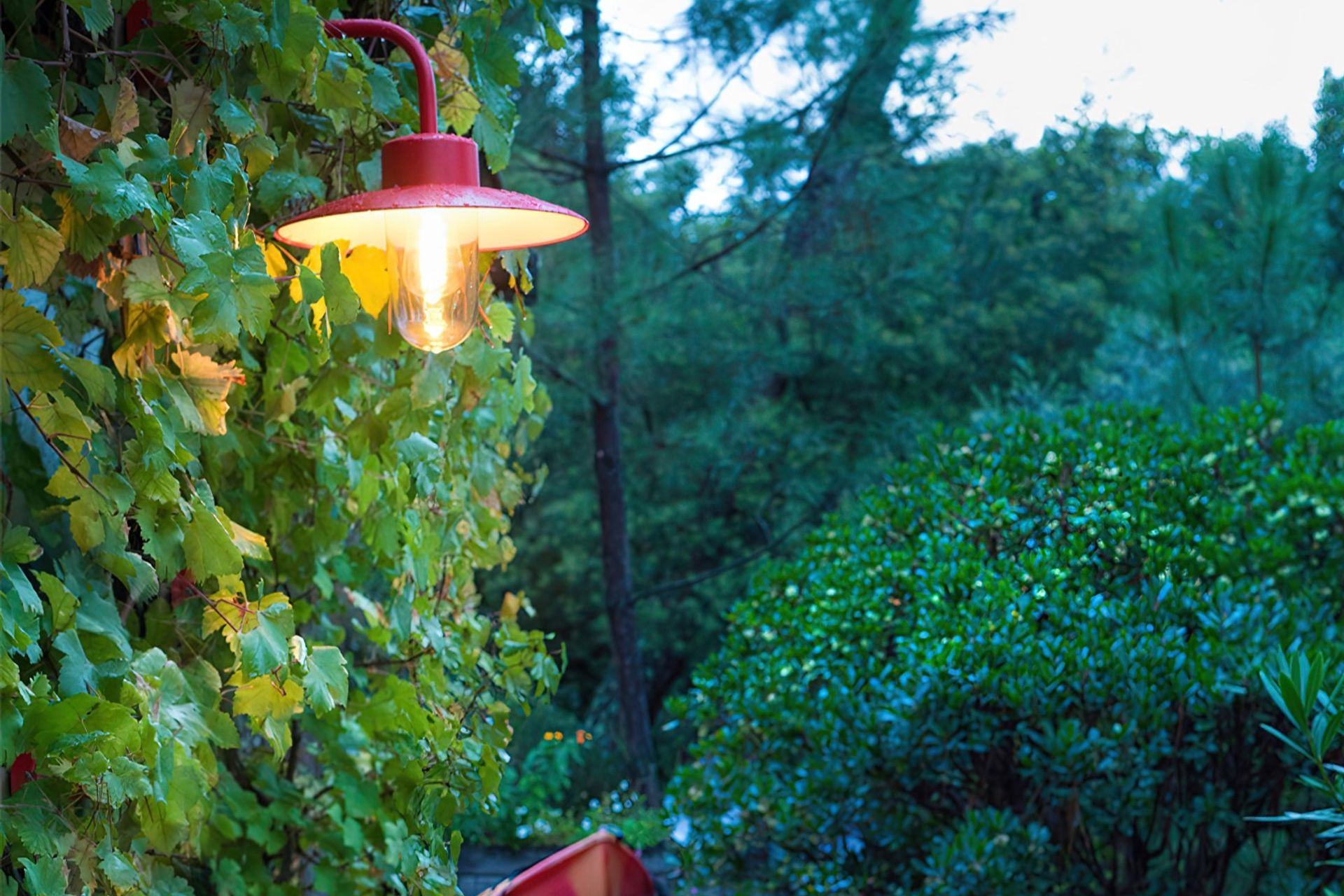 Products like the Belcour Model 9 Wall Light can add a pop of colour and light in any garden