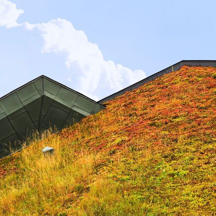 How can structural engineers help you achieve your sustainability goals?