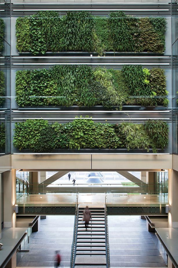 This green wall installation at Auckland's Britomart is composed of 60 individual panels containing a mix of natives and exotic epiphytes.